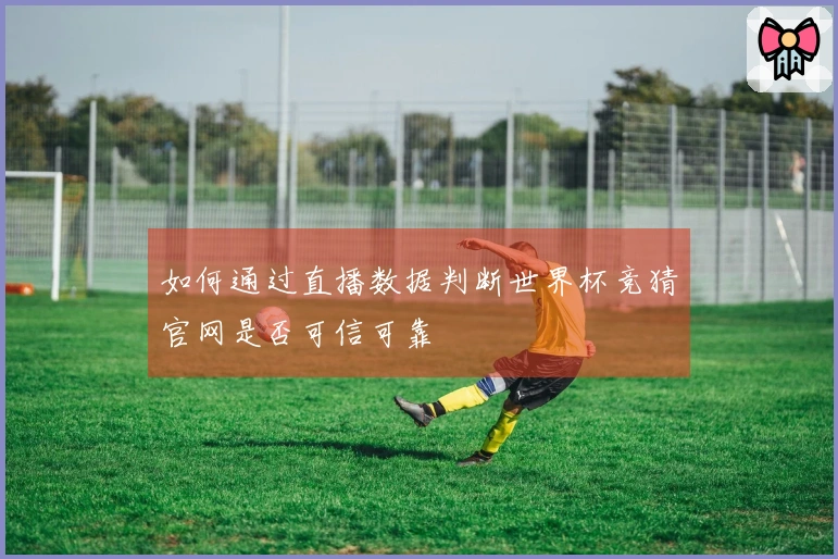 如何通过直播数据判断世界杯竞猜官网是否可信可靠