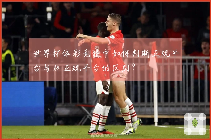 世界杯体彩竞猜中如何判断正规平台与非正规平台的区别？